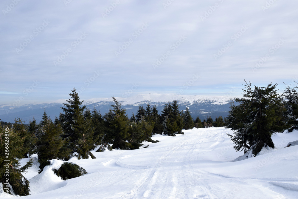 Snow mountain path. Mountain winter track. Winter landscape. Snow mountain path. Mountain winter track. Winter landscape.