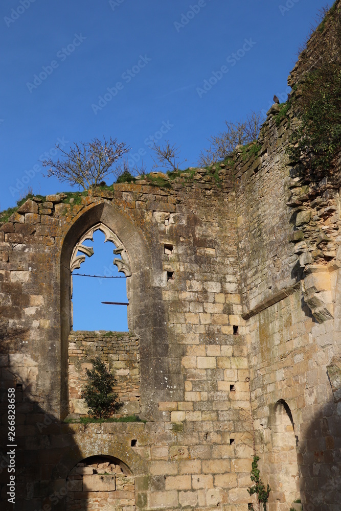 Nouvelle-Aquitaine - Marans - Ancienne fenêtre et vieux murs de l'Eglise Saint-Etienne
