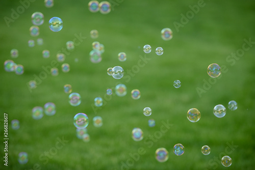 Bubbles in the Grass