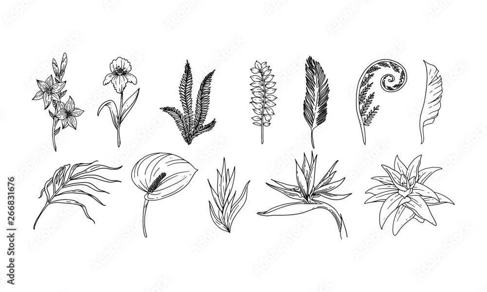set of floral elements for your design, hand drawn leaf and flowers illustration set of floral elements for your design, hand drawn leaf and flowers illustration