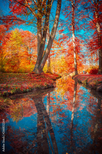 Beautiful Autumn Scenery in Park in Munich, Germany