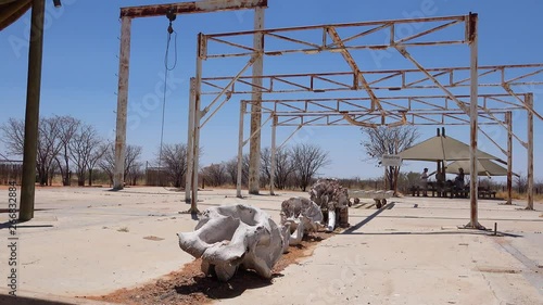 A dead elephant skeleton sits at an abaondoned culling station in Etosha National Park, namibia, where elephants were once killed to control overpopulation.