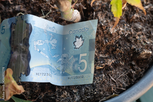 Growing money