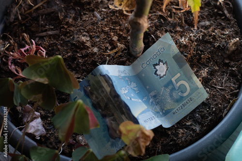 Growing Money 2