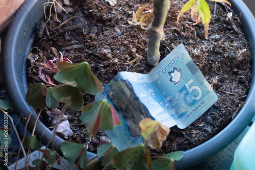 growing money 3