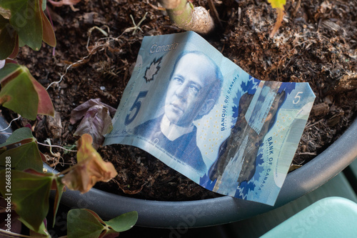 growing money 4