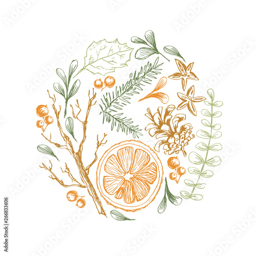 Vector hand drawn round illustration with Christmas natural herbal elements. Mistletoe, citrus and fir-tree branches. 