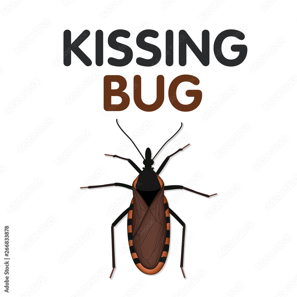 Kissing Bug, sucks blood from its victim's face, can carry Trypanosoma  cruzi parasite that causes Chagas disease, a serious public health concern,  some have red, yellow, tan markings. Stock Vector | Adobe