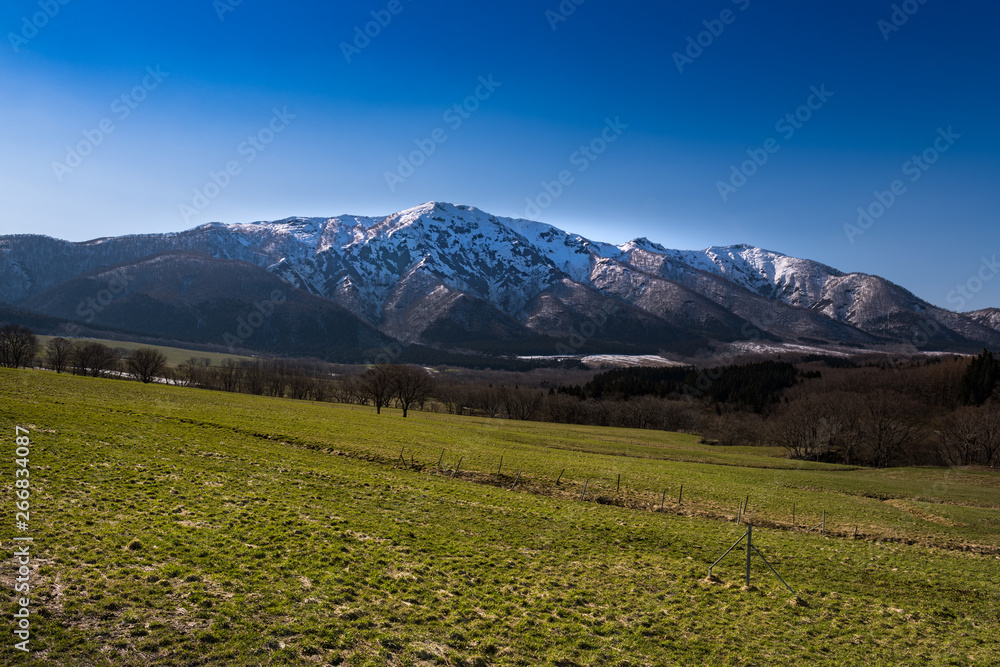 高原の牧場と雪の禿岳