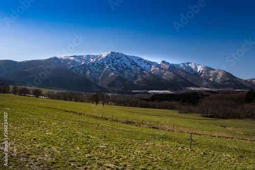 高原の牧場と雪の禿岳