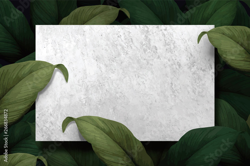 Tropical foliage background
