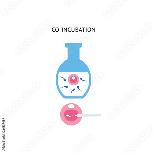 Egg and sperm in co-incubation procedure, in vitro fetrilization injection in medical laboratory