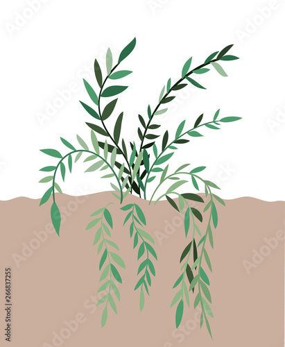 plant in landscape isolated icon