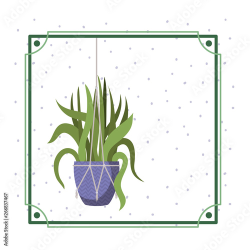 frame with houseplant on macrame hangers