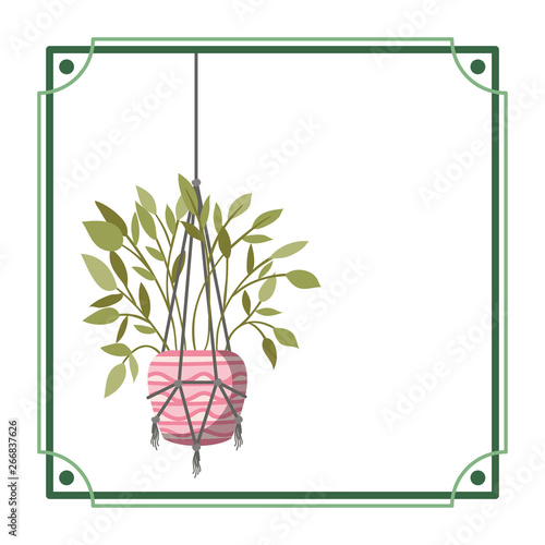 frame with houseplant on macrame hangers