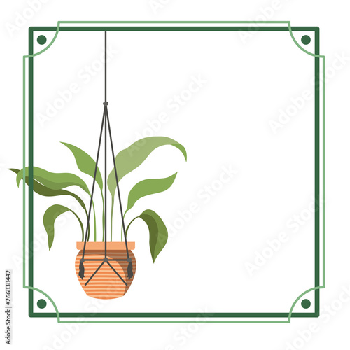 frame with houseplant on macrame hangers