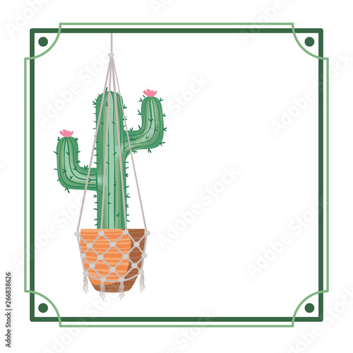 frame with cactus on macrame hangers icon