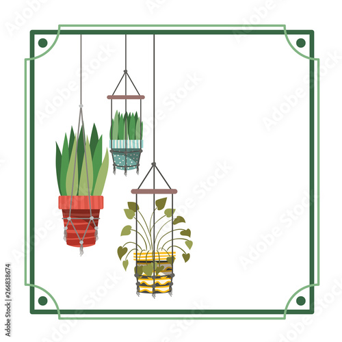 frame with houseplants on macrame hangers