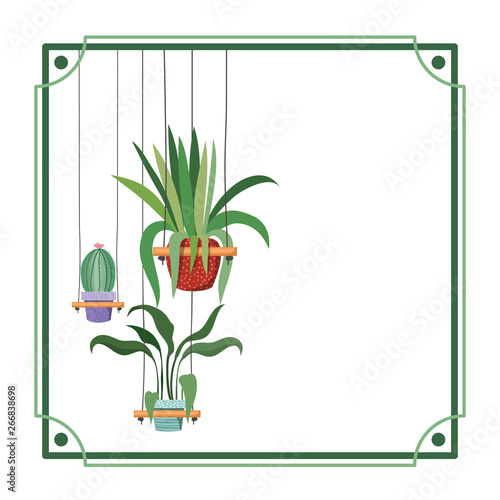 frame with houseplants on macrame hangers