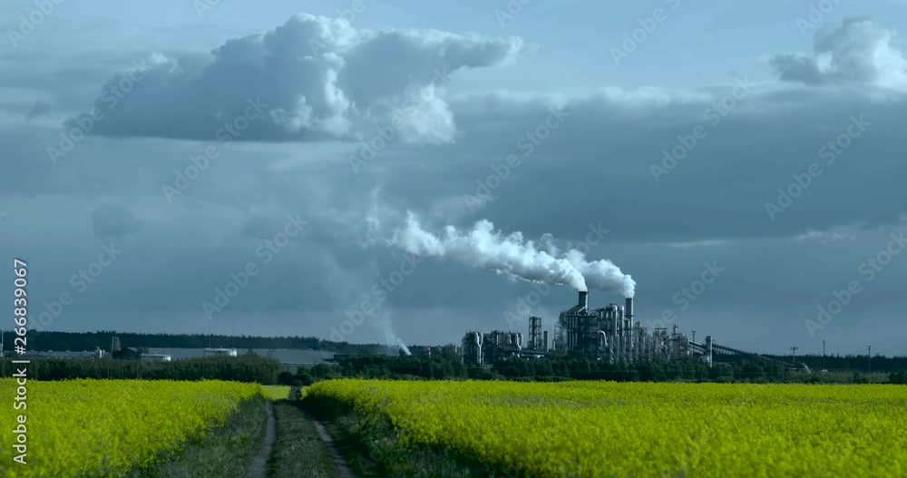Landscape with smoking emission factory next to rape field.