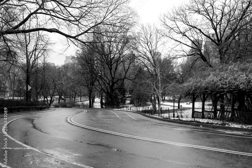 Central Park Nova York