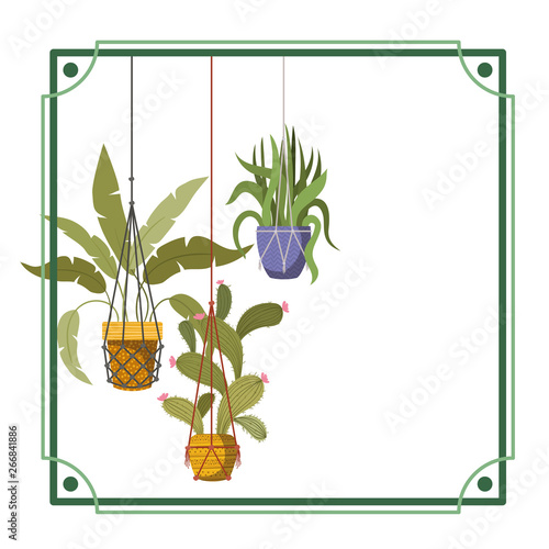 frame with houseplants on macrame hangers