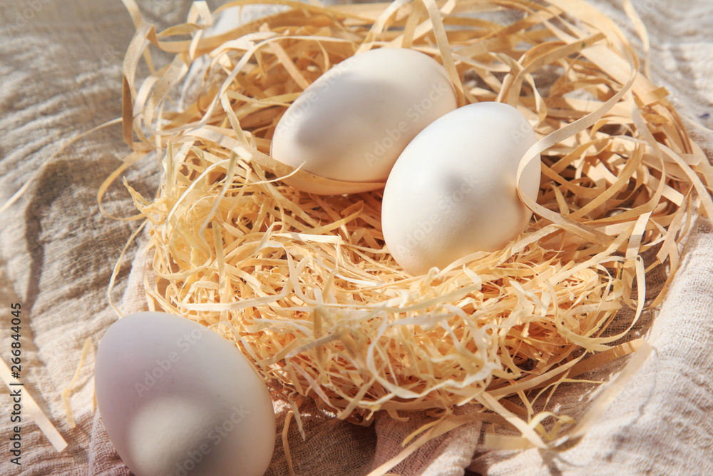 A variety of eggs, goose eggs close-up A variety of eggs, goose eggs close-up