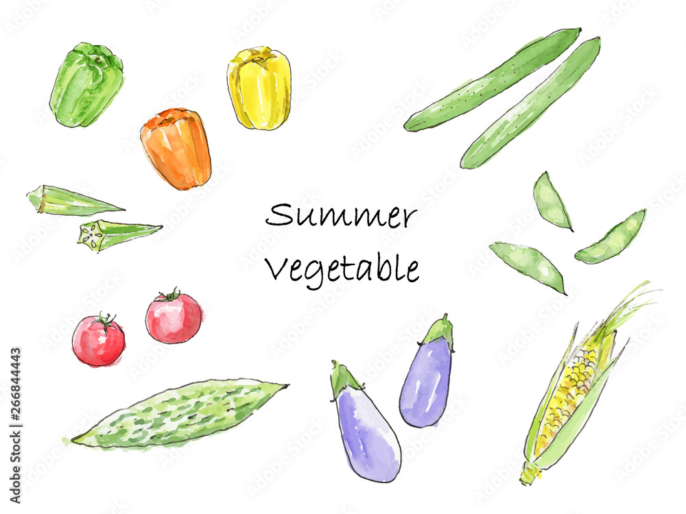 夏野菜 水彩イラスト Stock Vector Adobe Stock 夏野菜 水彩イラスト Stock Vector Adobe Stock