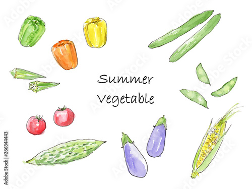 夏野菜　水彩イラスト