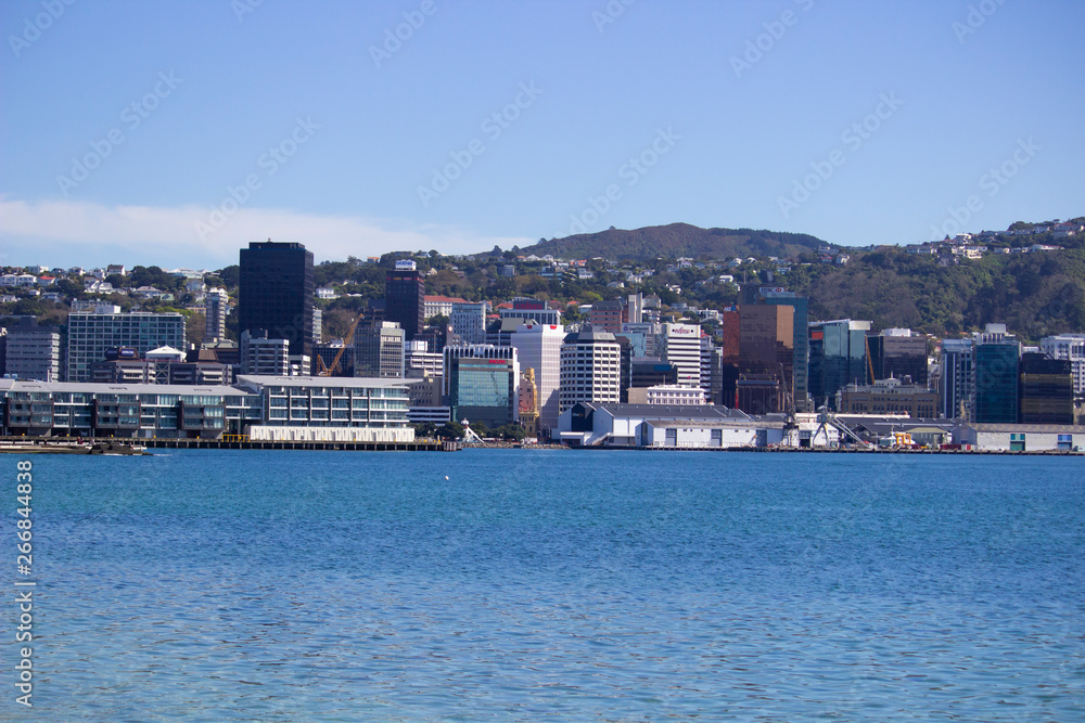 View of Wellington Harbor, New Zealand