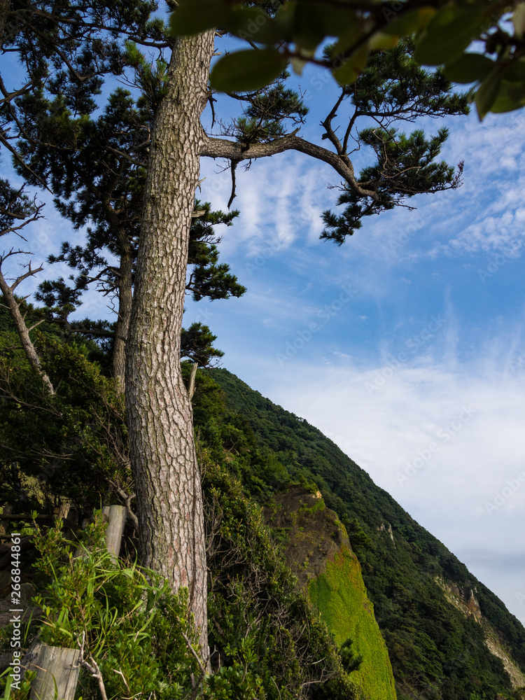 【静岡県伊豆半島ジオパーク】西伊豆黄金崎の風景【夏】 【静岡県伊豆半島ジオパーク】西伊豆黄金崎の風景【夏】