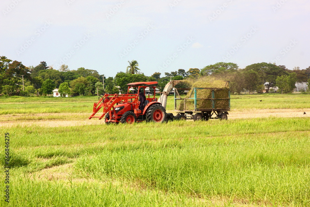 Fototapeta premium mower machine works in grass farm