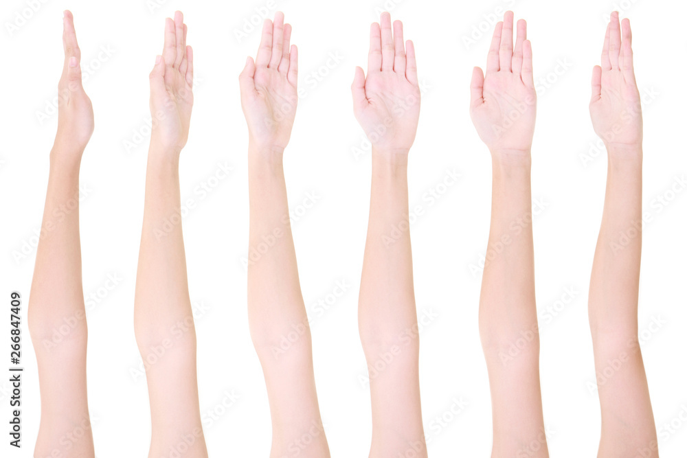 Multiple girl hand gestures isolated over the white background, set of multiple images Multiple girl hand gestures isolated over the white background, set of multiple images