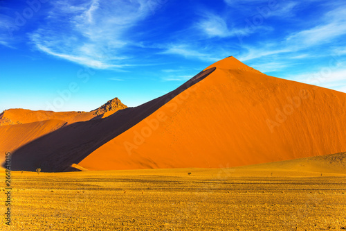 The most ancient in the world Namib Desert