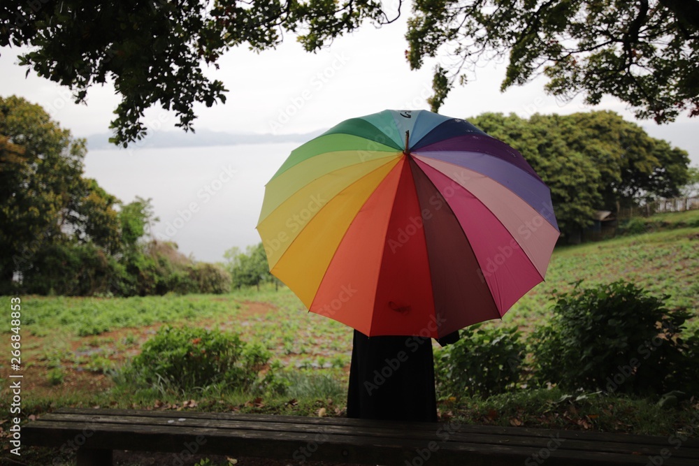 umbrella in the rain