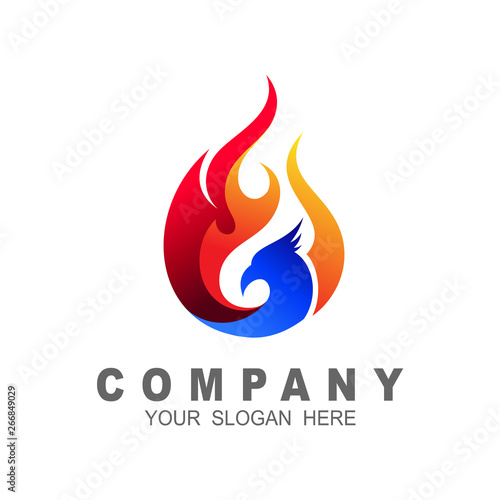 Eagle logo template, fire-bird, eagle logo and animal logo template