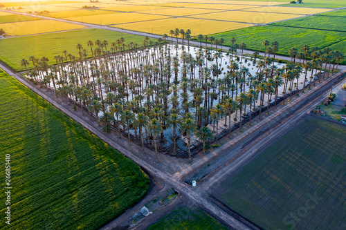Yuma Irrigated Farmland