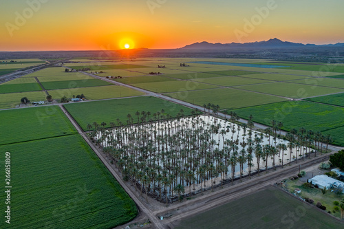 Yuma Irrigated Farmland