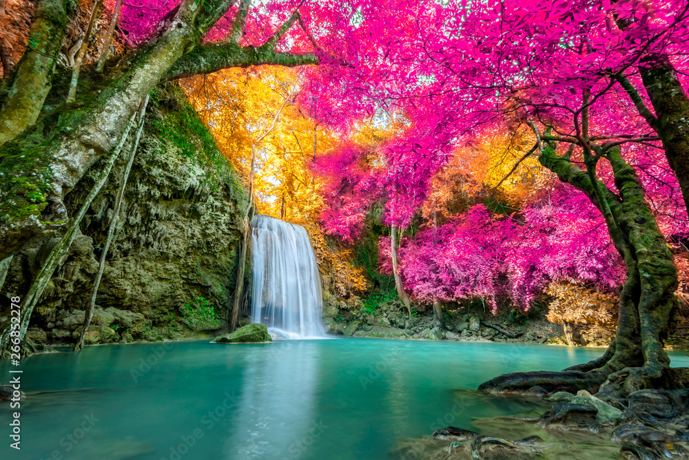 Fototapeta Amazing in nature, beautiful waterfall at colorful autumn forest in fall season