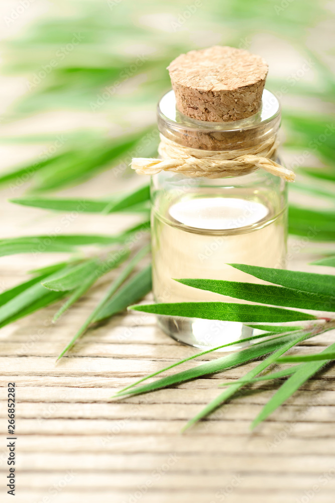 Tea tree essential oil in the galss bottle, on the wooden board Tea tree essential oil in the galss bottle, on the wooden board