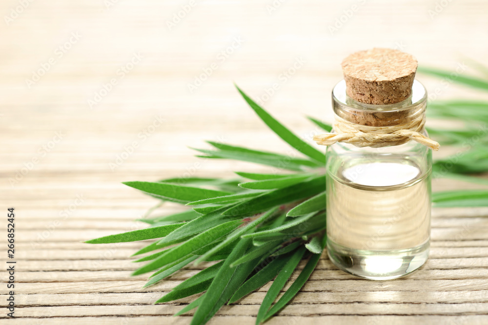 Tea tree essential oil in the galss bottle, on the wooden board Tea tree essential oil in the galss bottle, on the wooden board