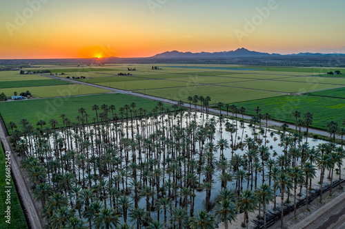 Yuma Irrigated Farmland
