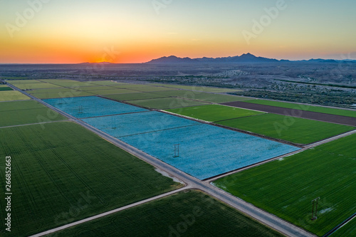 Yuma Irrigated Farmland