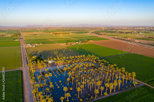 Yuma Irrigated Farmland