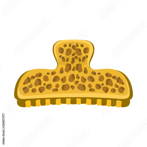 Vector design of comb and hairpins icon. Collection of comb and clip stock vector illustration.