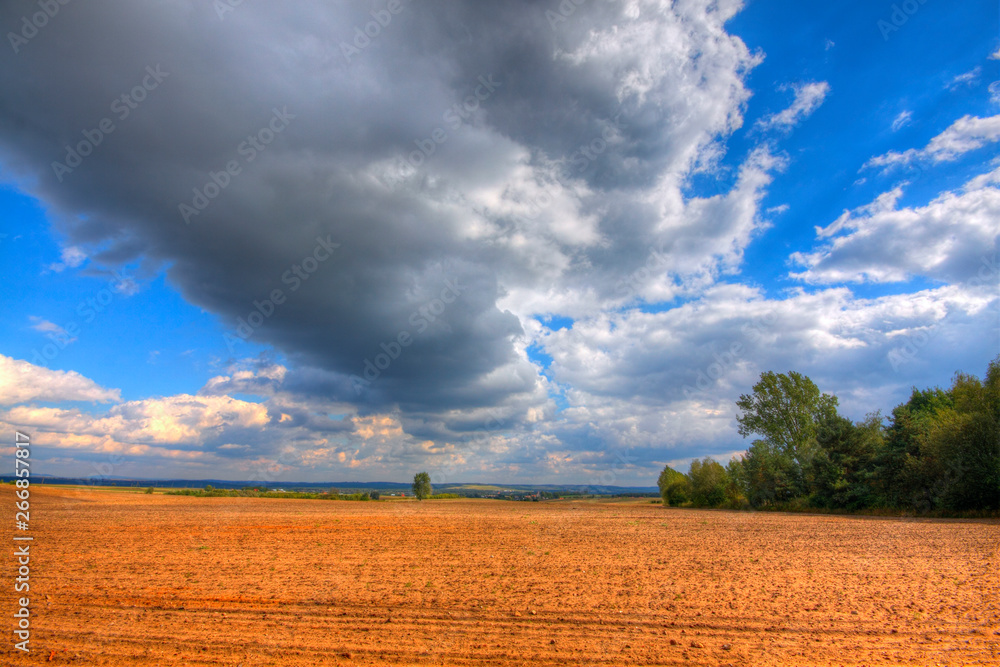Ploughed field at late summer