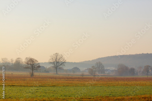 Hazy morning over meadows