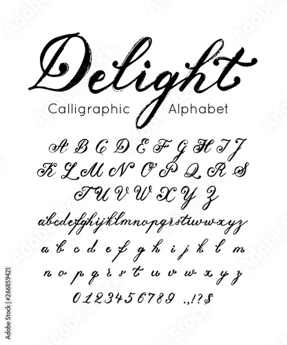 Vector elegant font and alphabet. Set of cursive letters and numbers. Brush type