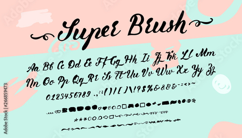 Vector brush font and alphabet. Set of latin letters and numbers. Script