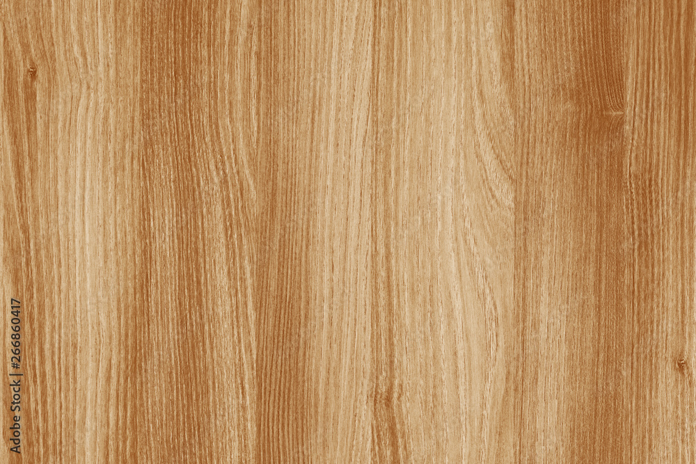 acacia timber tree wooden surface wallpaper structure texture background acacia timber tree wooden surface wallpaper structure texture background